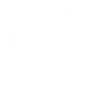 Selection-icon